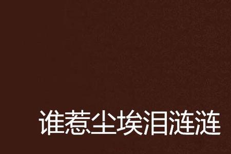 泪水连连的意思