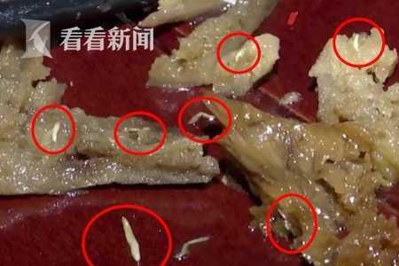 家里有蛆怎么办
