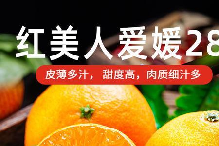 爱媛28和爱42爱媛38的区别