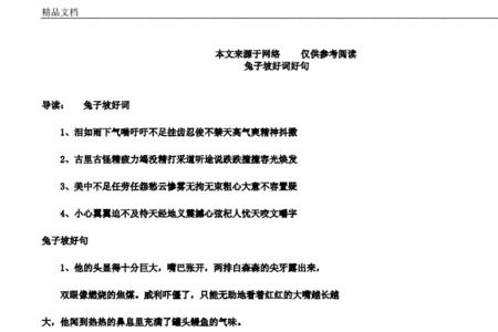 兔子坡好词好句读后感