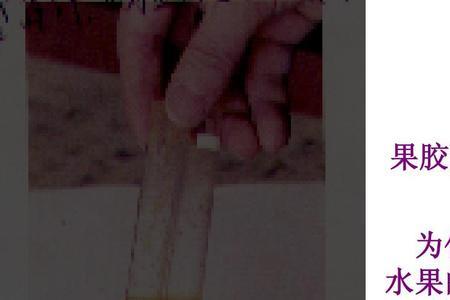 果胶酶分子的特性