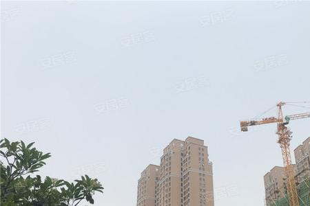 平顶山九龙广场属于什么区