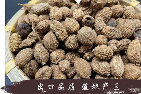 缩砂仁与砂仁有区别吗