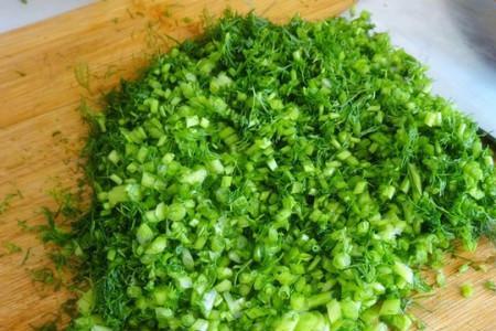 茴香菜怎么采收