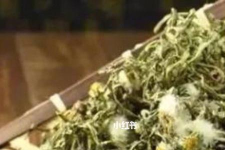 蒲公英茶昆明哪里有卖