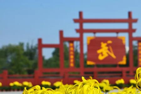 咸阳2022年菊花展举办时间