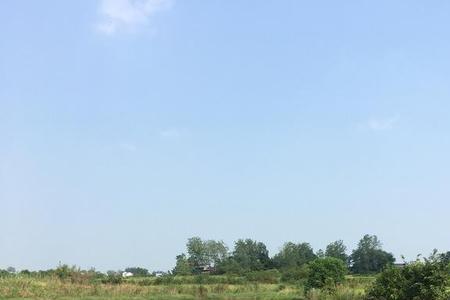 农村鱼塘属于什么地