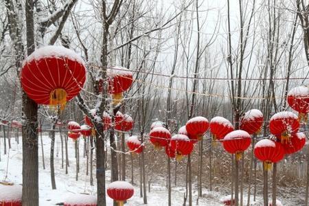 冷年是什么年
