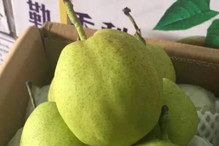 送香梨有什么寓意