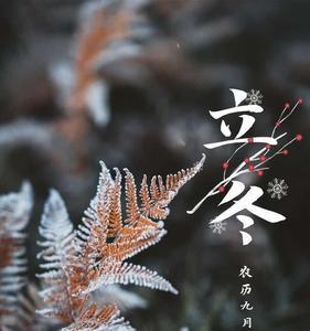 今天立冬了怎么回复