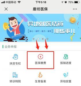 湘西州医疗保险网上缴费