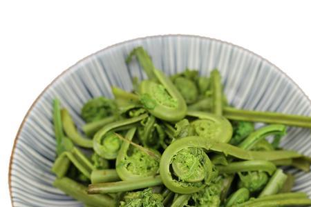 山菜广东菜的保存方法