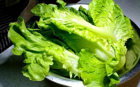 生菜能用比久吗