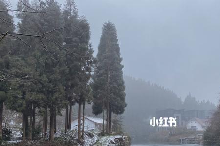 龙苍沟好玩吗