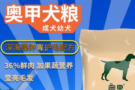 蓝色德牧和蓝湾牧羊犬一样吗