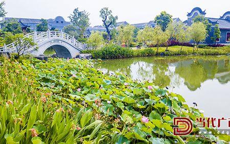 园博园中最著名的河