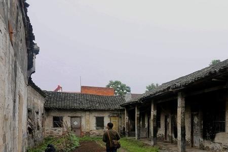 安居哪一年拍的