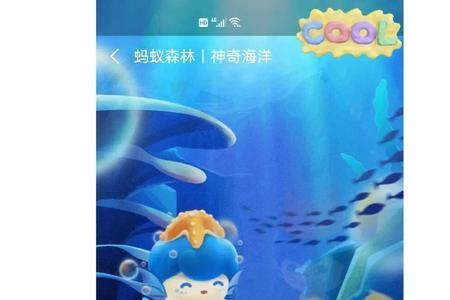 蚂蚁海洋什么时候上新