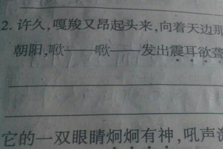 造句词语后面用什么符号