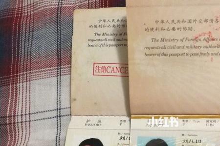 护照号码前的英文字母有何意义