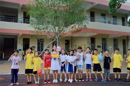 肇庆广外小学部好不好