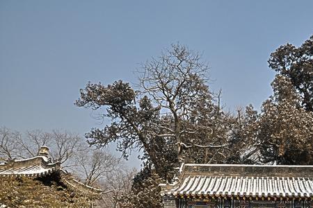 泰山普照寺有存放骨灰的地方吗