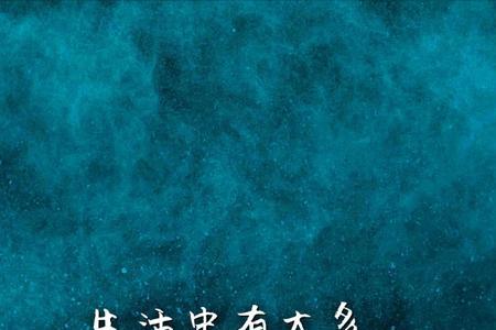 不舍表达什么情感