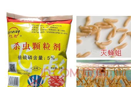 洁厕灵能杀死蛆吗