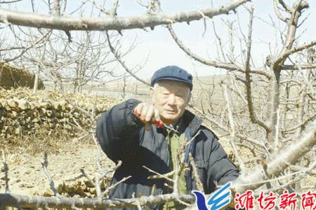 村支部书记20年退休工资多少