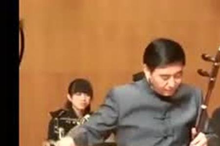 板胡好学吗多久成型