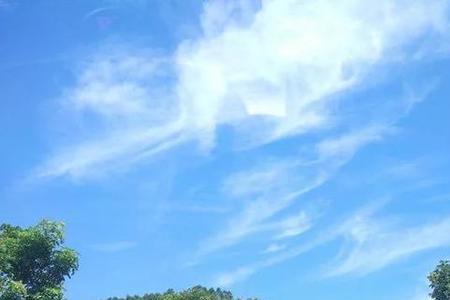 与君青眼客共有白云心的意思