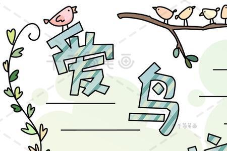 保护小鸟的宣传牌怎样画