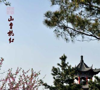 山上桃花始盛开的上一句