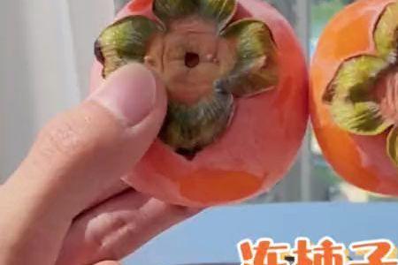 柿子冰箱冻的正确方法