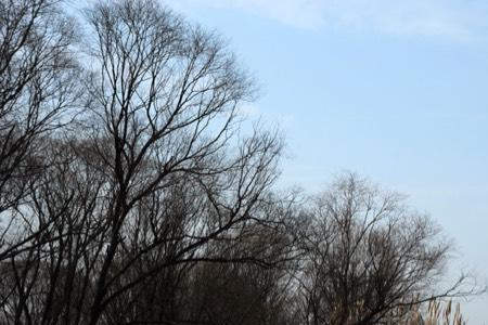 满目荒芜是什么意思