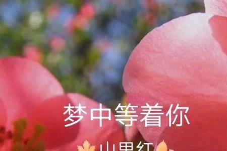 想你的夜是干嘛用的
