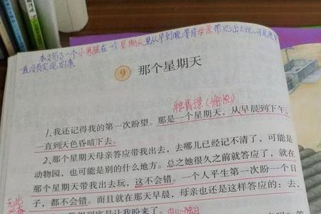 那个星期天名言