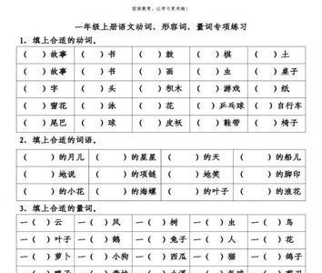 一什么藤填量词答案