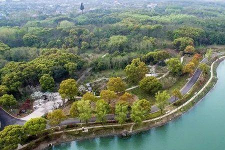 昆山湿地公园收费标准