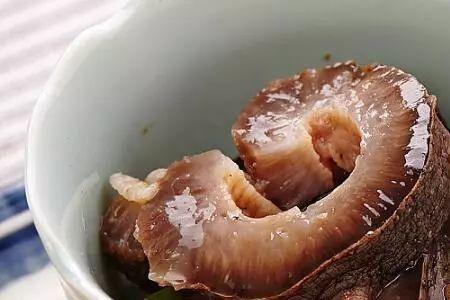 为什么有的海参像泡沫