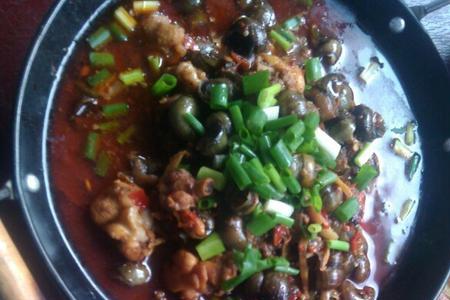 螺蛳鸡的家常做法