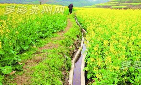 井水含碱可以浇庄稼吗