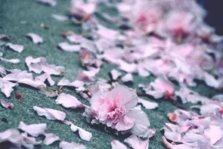 春如旧人空瘦的瘦什么含义