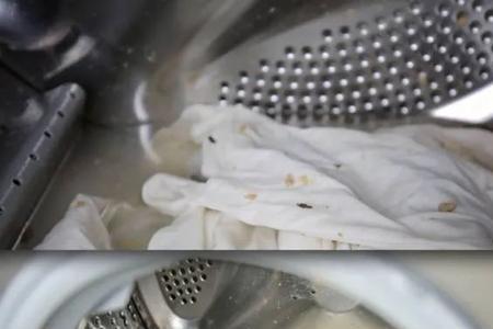 碎丝棉用全自动洗衣机可以吗