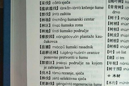 波兰语与哪种语言最接近