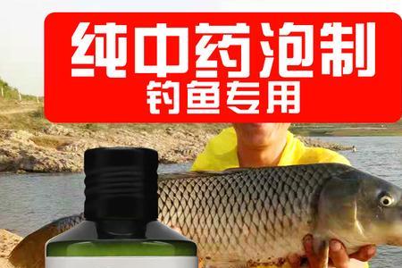 阿魏钓什么鱼效果好