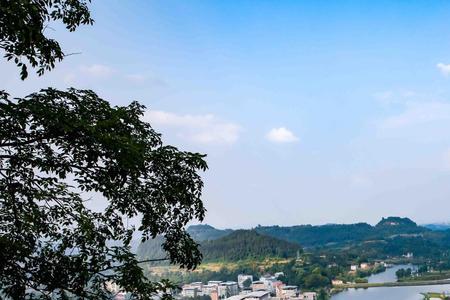四川巴中大罗鼎山特产