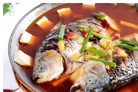鲤鱼吃熟肉吗