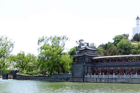 白樱为什么跳下白塔没死