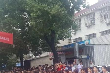 新洲一中什么时候开学